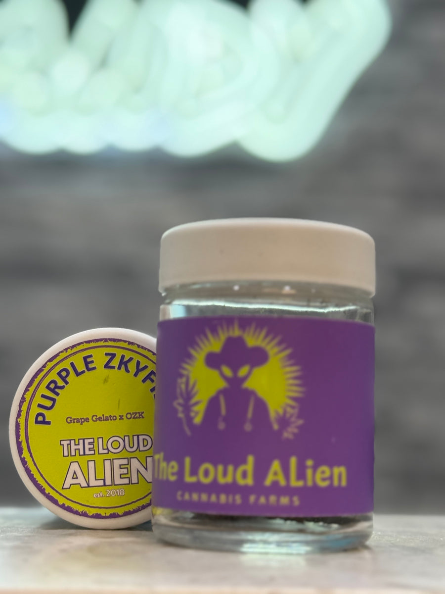 PURPLE ZKYFISH By The Loud Alien