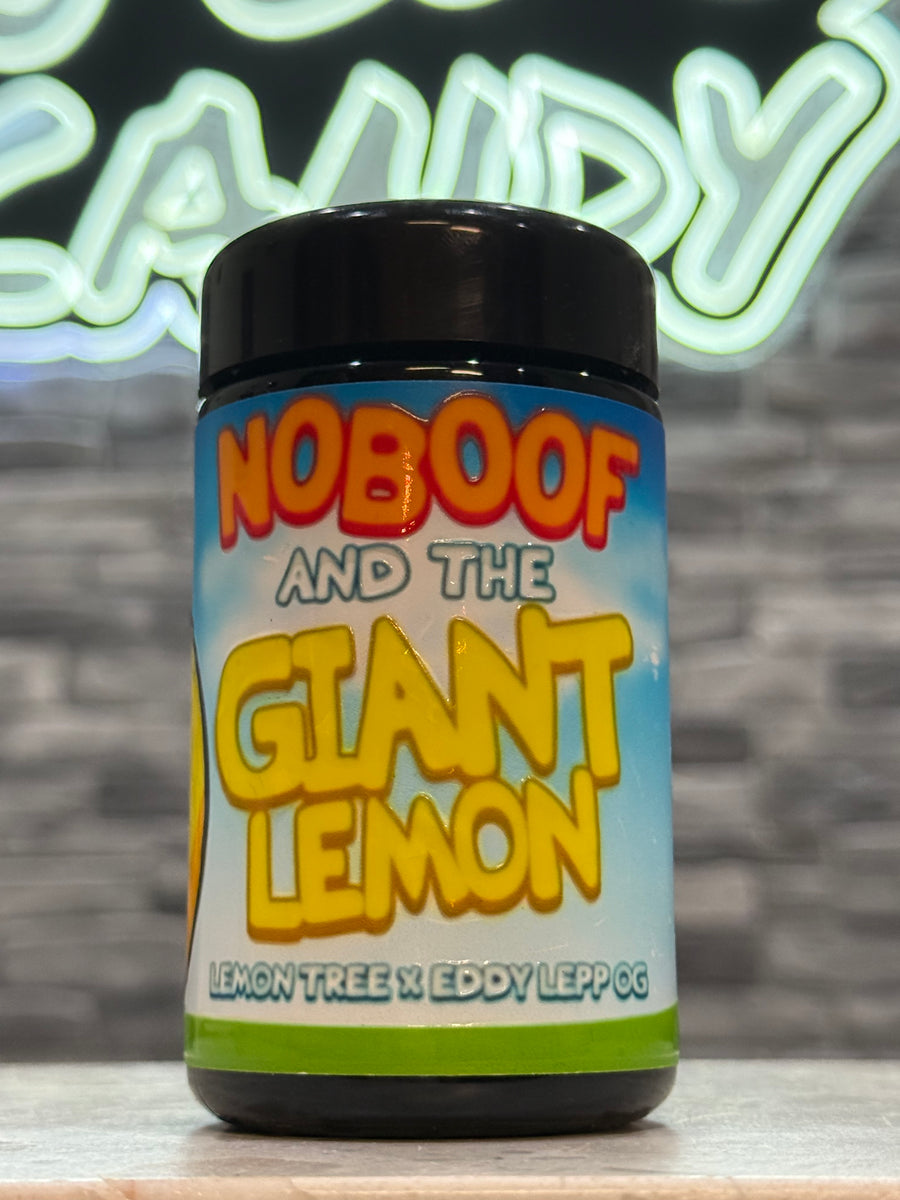 NO BOOF & THE GIANT LEMON By No Boof