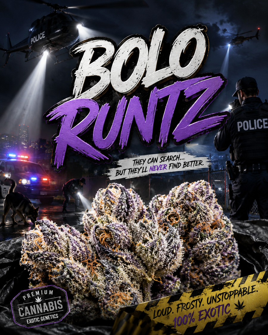 BOLO RUNTZ By The Candy Shop