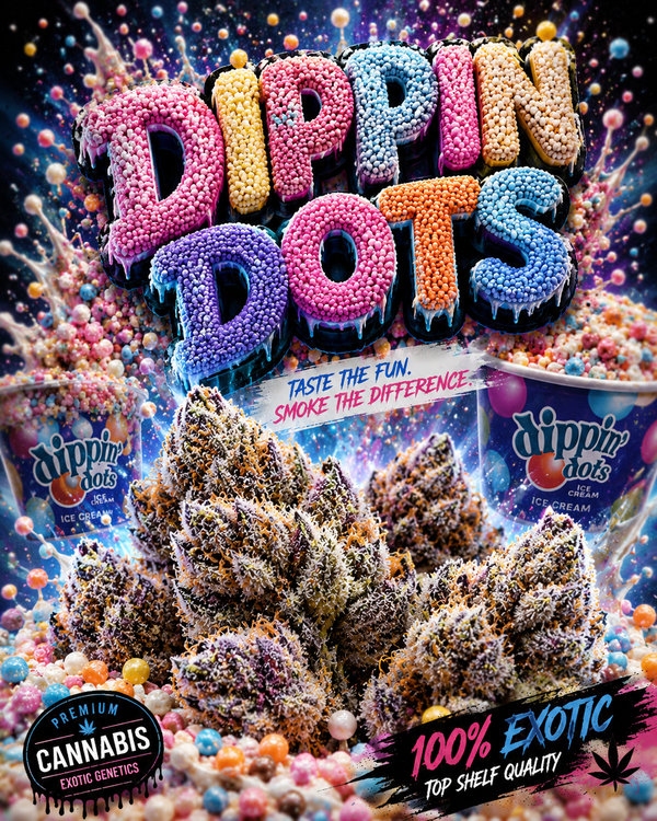 DIP & DOTS By Bay Flavors